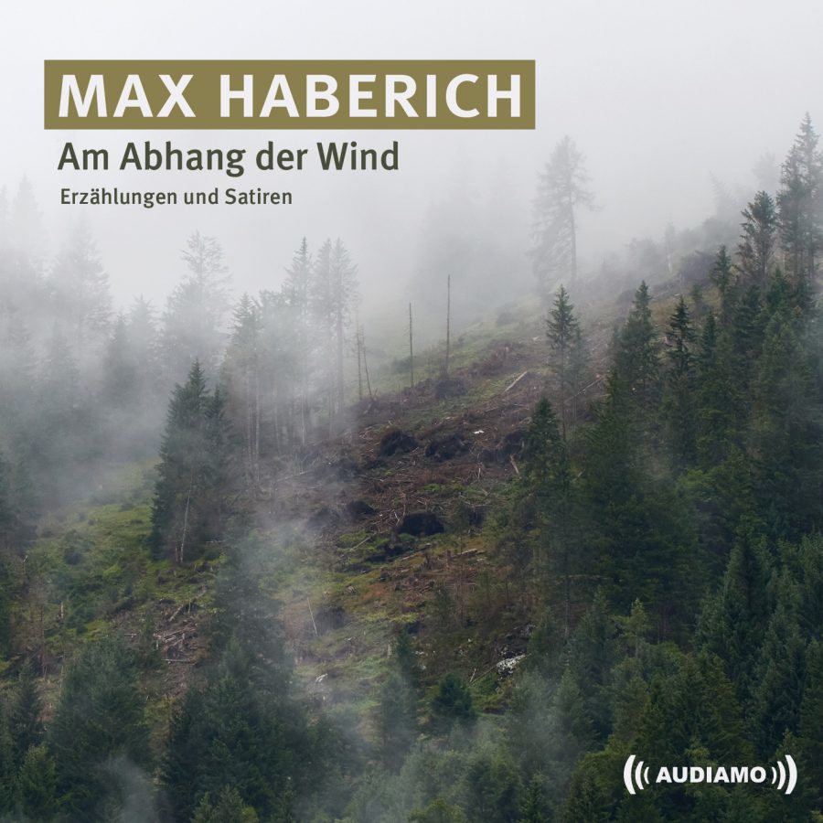 Max Haberich, Am Abhand der Wind, Cover Audiamo Hörbuchverlag